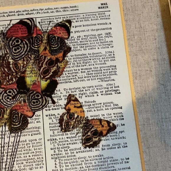 Framed Elephant and Butterfly Print on Recycled Encyclopedia Page - Picture 4 of 16